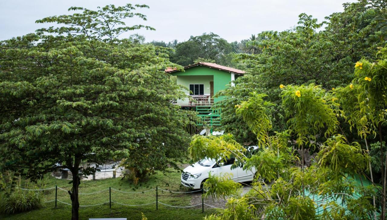 The Midway Jungle Resort Masinagudi Eksteriør bilde